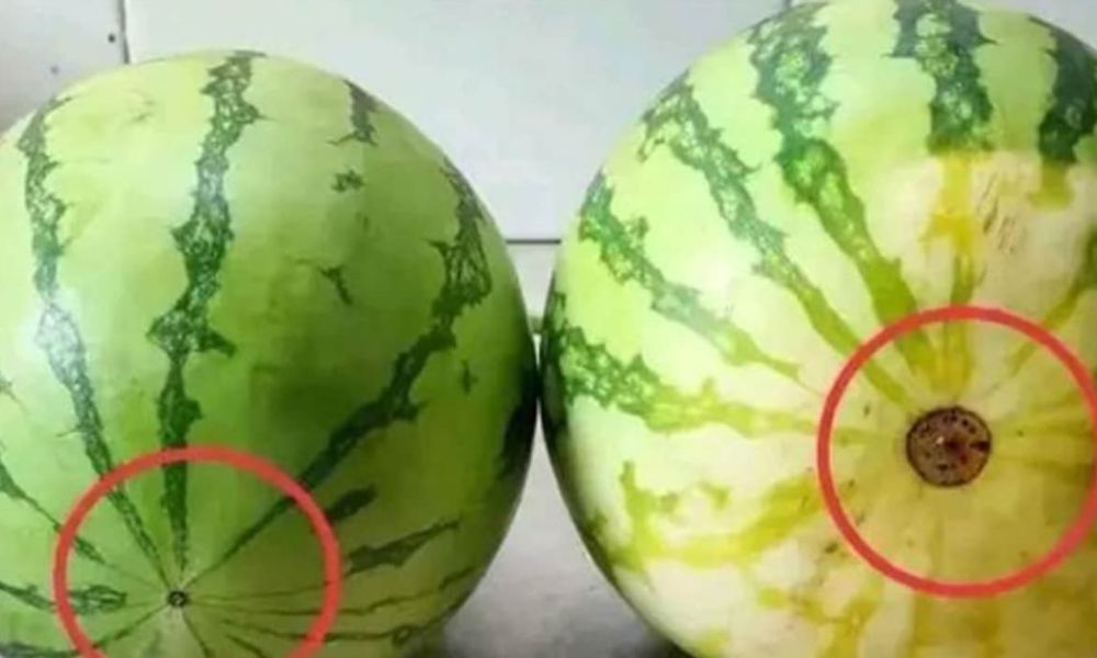 7 cách chọn dưa hấu ngon ngọt