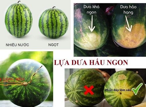 Cách Chọn Dưa Hấu Ngon cho người mua 2025
