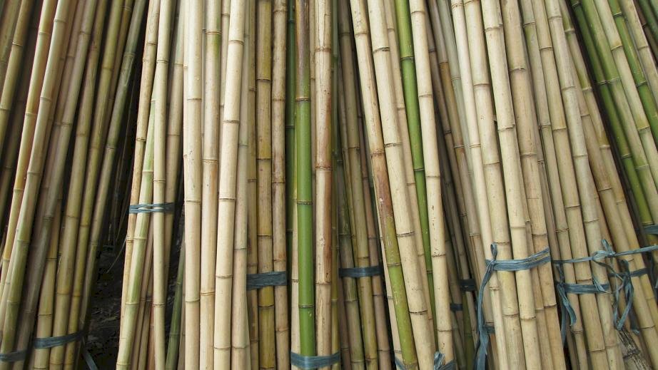 Kho tre nứa tại TP HCM
